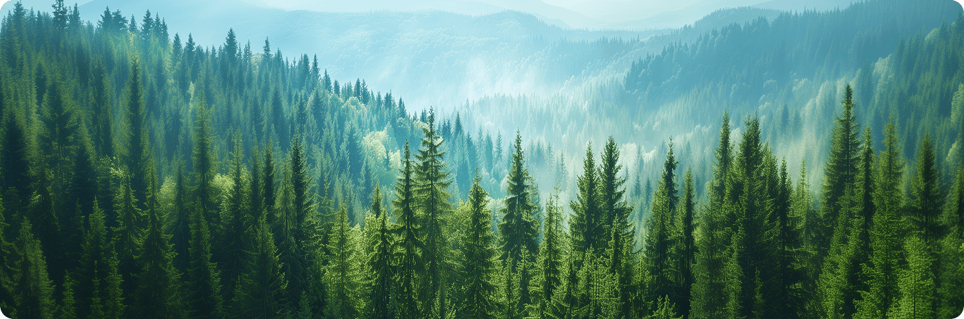 ممارسة مخصصة لمجال الطاقة الجديدة وESG: